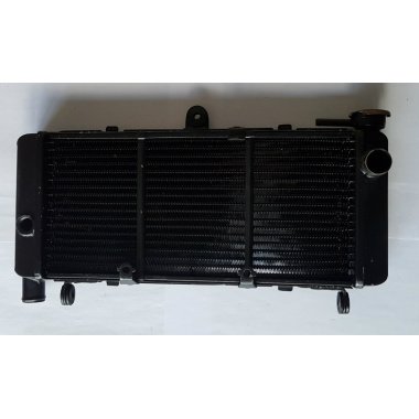 Radiador de Água Para Mota Honda CB600F Hornet 1998-2006