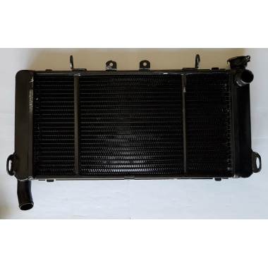 Radiador Para Moto CBR600F (PC25) 1991-1994