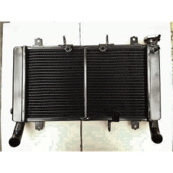 Radiador Para Moto Honda CBR650F